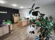 Przypki, 25 000 zł, 1000 m2, hala/magazyn miniaturka 9
