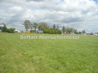 Nowe Osiny, 15 000 000 zł, 5 ha, budowlana