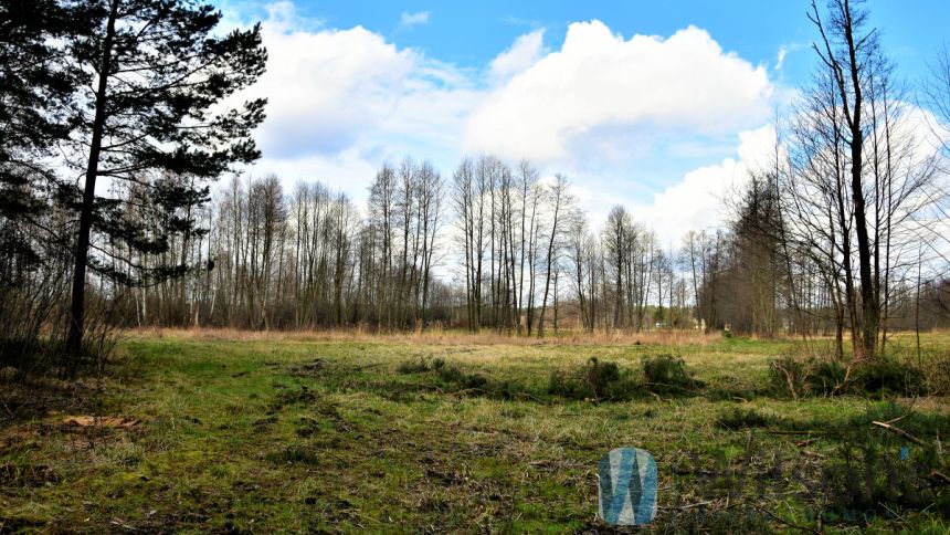 Ludwinów, 180 000 zł, 16 ar, przyłącze prądu miniaturka 3