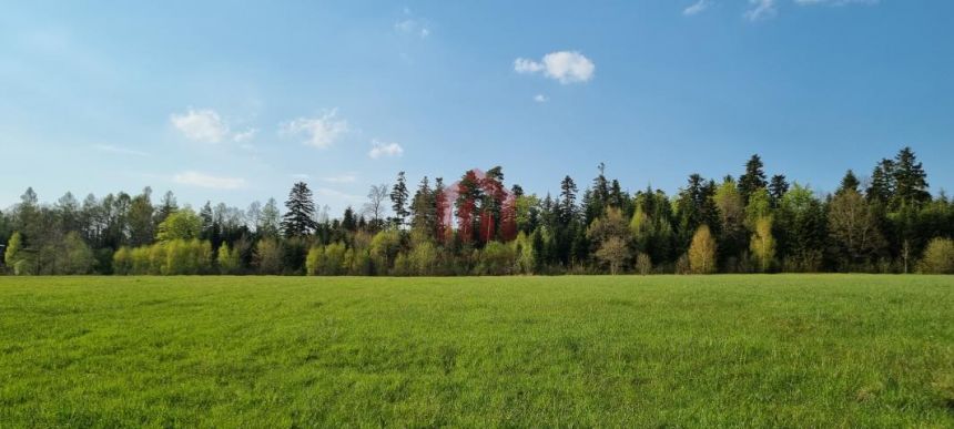 Atrakcyjne działki budowlane |18 minut od Rzeszowa miniaturka 8