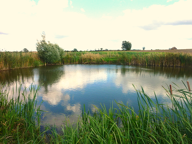 Czarnowo, 230 000 zł, 1.06 ha, o nieregularnym kształcie miniaturka 3