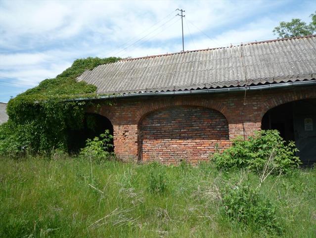 Chynów, 16 000 000 zł, 15000 m2, z cegły miniaturka 5