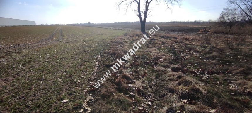 Błonie 9030m2 | Powstańców | MPZP-15MU | Media! miniaturka 8