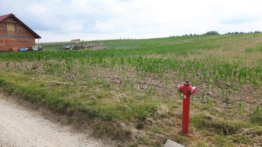 Cielętniki, 1 850 000 zł, 6.8 ha, rolno-budowlana miniaturka 6