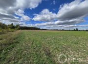Krakowiany, 9 320 000 zł, 3.33 ha, inwestycyjna miniaturka 2