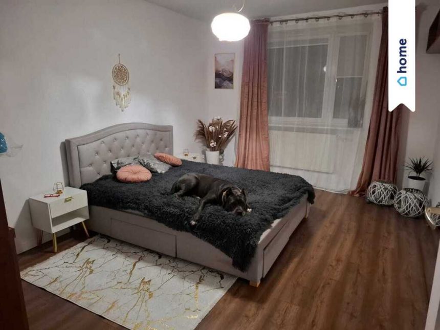 Bliźniak w zielonej okolicy, blisko miasta miniaturka 4