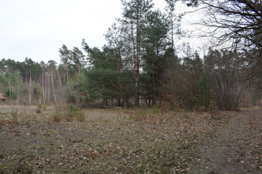 Działki pod budownictwo 13,87a - Wysoka Głogowska miniaturka 8