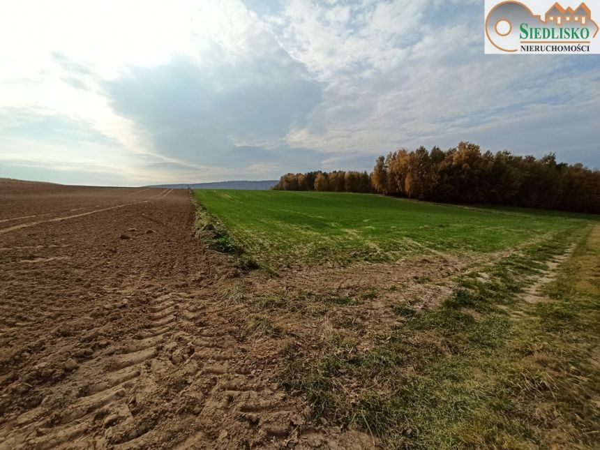 Działka z rozległą panoramą widokową. miniaturka 4