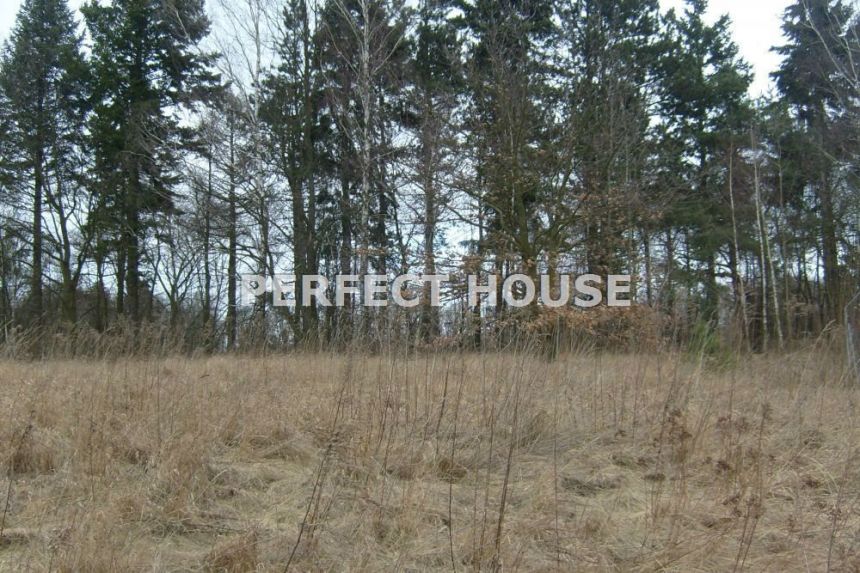 Atrakcyjna działka w Centrum Szczecinka >6000m2 miniaturka 2