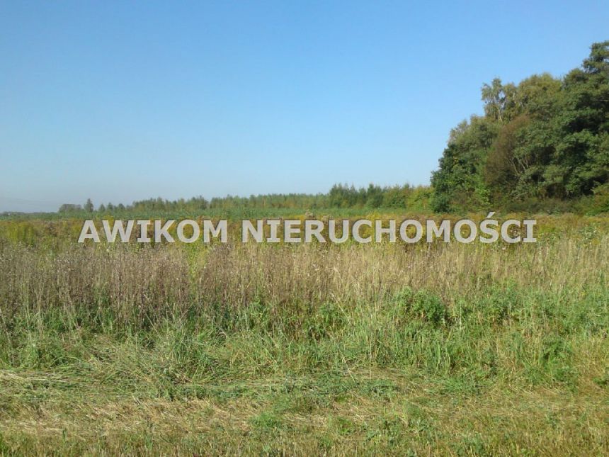 Grodzisk Mazowiecki, 599 000 zł, 1.01 ha, siedliskowa miniaturka 2