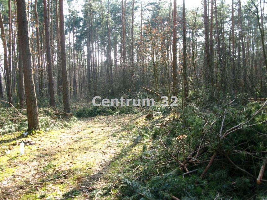 Siestrzeń, 2 000 000 zł, 1.15 ha, przyłącze wodociągu miniaturka 3