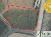 Borki-Paduchy, 225 000 zł, 13.65 ar, płaska miniaturka 1