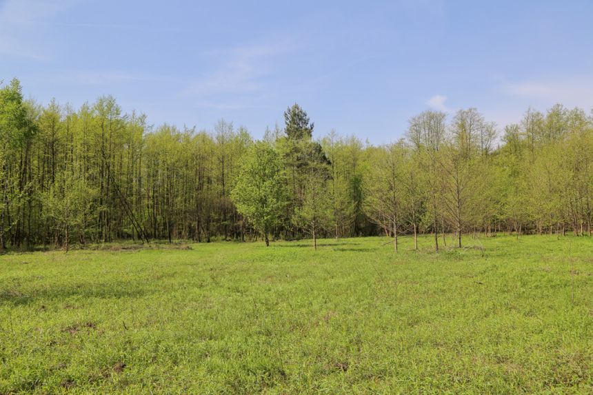 4 działki rolno-budowlane- Bielcza- Małopolska miniaturka 3