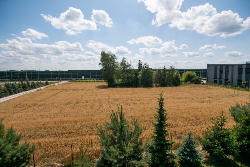 Konotopa, 1 950 000 zł, 330 m2, 6 pokoi miniaturka 30