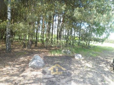 Działka budowlana w Waliskach