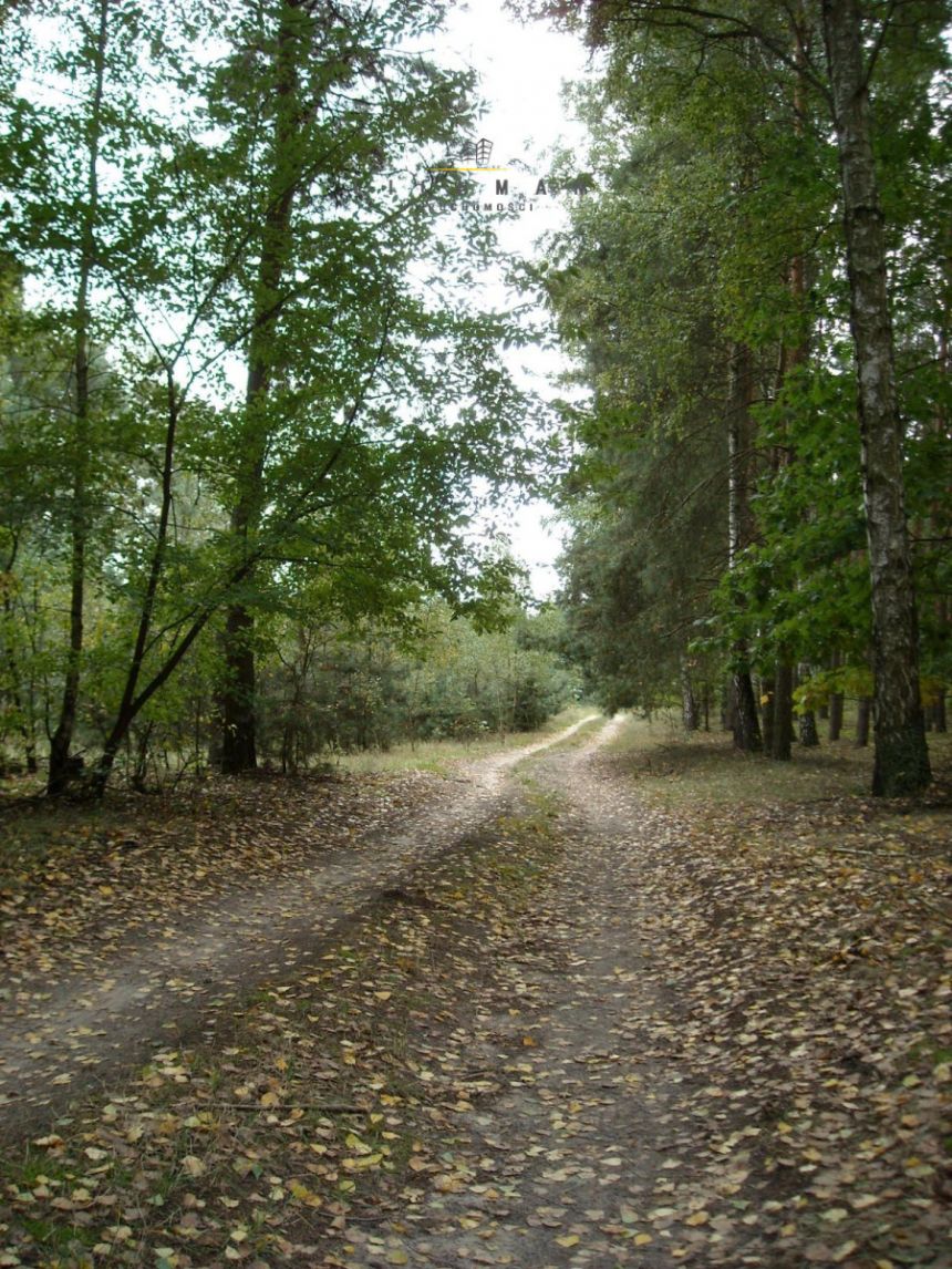 Trojaczek, 349 000 zł, 2.3 ha, rolna miniaturka 14