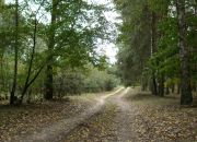Trojaczek, 349 000 zł, 2.3 ha, rolna miniaturka 14