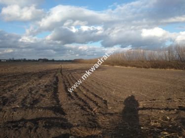 WYJĄTKOWY TEREN W MILANÓWKU