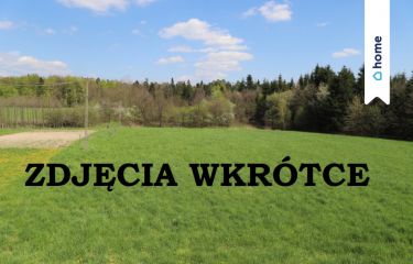 Działka 20 ar z wydanymą WZ w Przedborzu