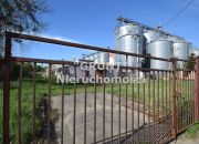 Ujście Ujście-Łęg 389 000 zł 380 m2 miniaturka 2