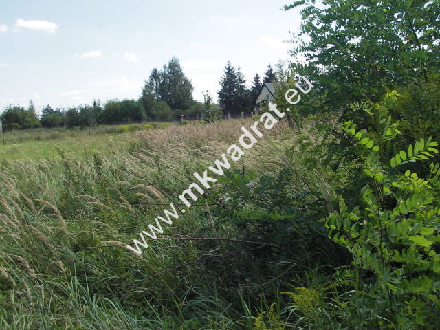 Błonie, 2 500 000 zł, 1 ha, komercyjna - zdjęcie 1