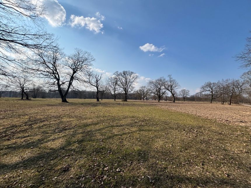 Działka 7500 M2 30 km od Warszawy, rzeka, las miniaturka 3