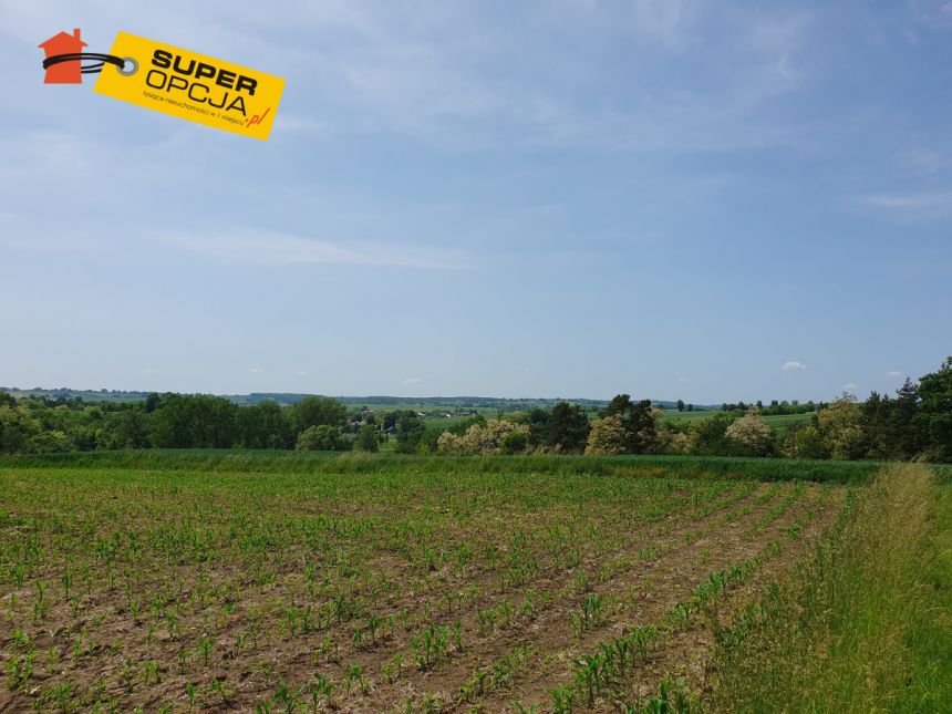 Szczepanowice, 649 000 zł, 53.3 ar, rolna miniaturka 8