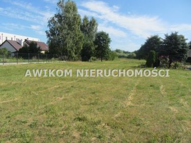 Szczęsne, 386 000 zł, 15.44 ar, droga dojazdowa asfaltowa