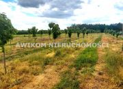 Kornelówka, 400 000 zł, 1.85 ha, przyłącze elektryczne miniaturka 2