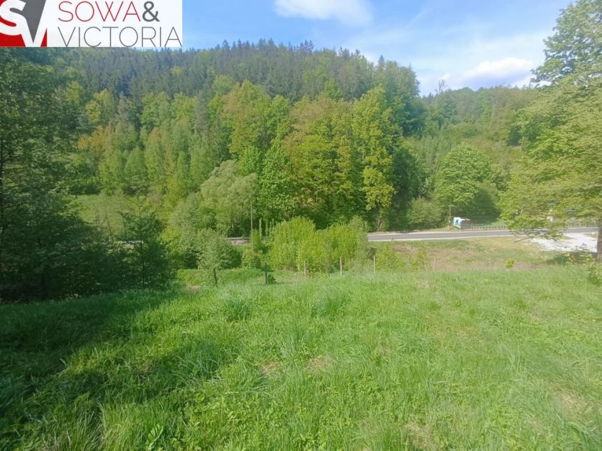 Widokowa działka w sąsiedztwie jeziora - ok 1 km miniaturka 3