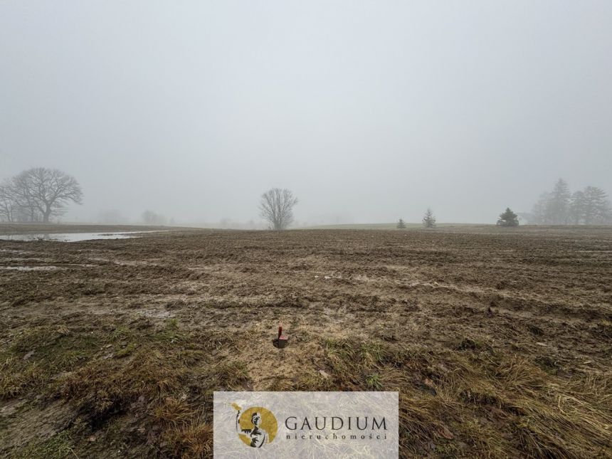 DZIAŁKI KASZUBY 1000 m2 GMINA SZEMUD! miniaturka 2