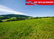 Działka na sprzedaż Posadowa Mogilska / Korzenna miniaturka 8