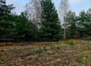 Działka budowlana o pow. 1084 m2 na skraju lasu. miniaturka 2