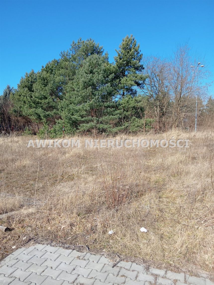 Stara Wieś, 1 300 000 zł, 36.8 ar, usługowa miniaturka 5