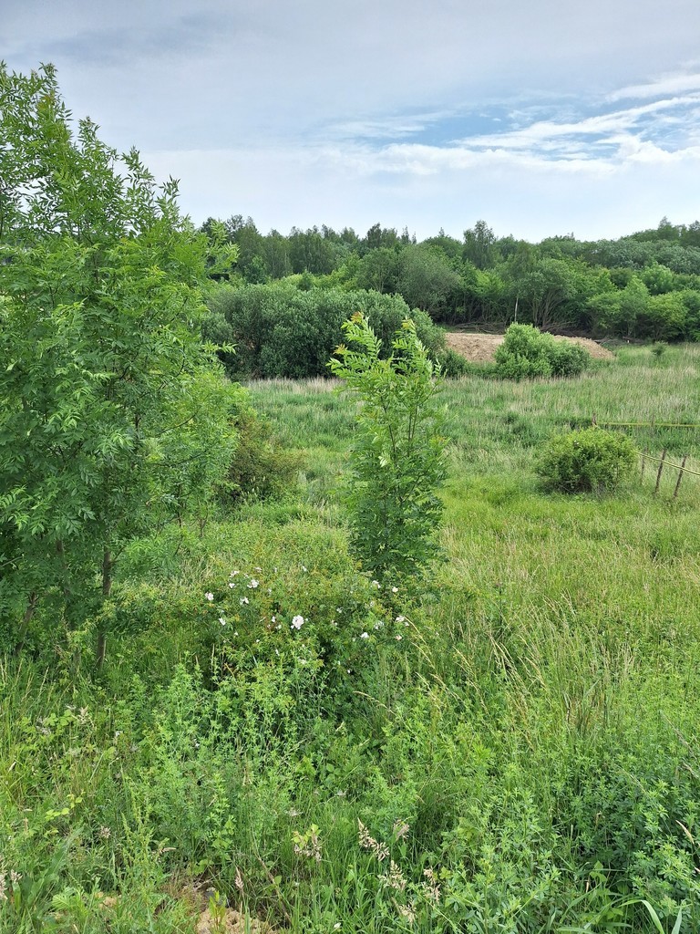 Działka Bukowo751m2,bud.media, do szybkiej budowy miniaturka 2