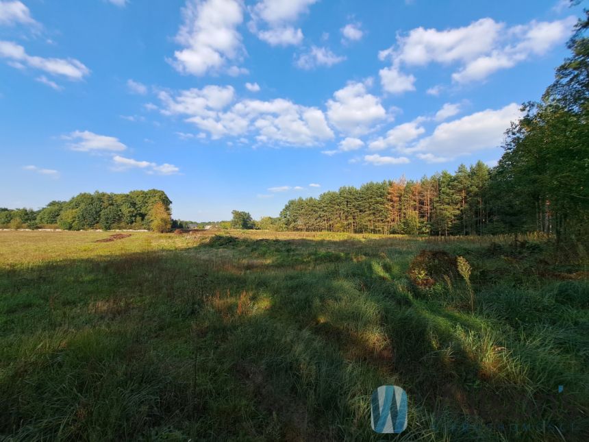 Bieliny, 500 000 zł, 2.49 ha, droga dojazdowa asfaltowa miniaturka 2
