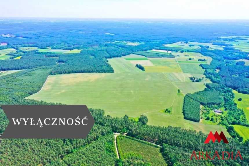 Bobrowniki 11 600 000 zł 23.79 ha - zdjęcie 1