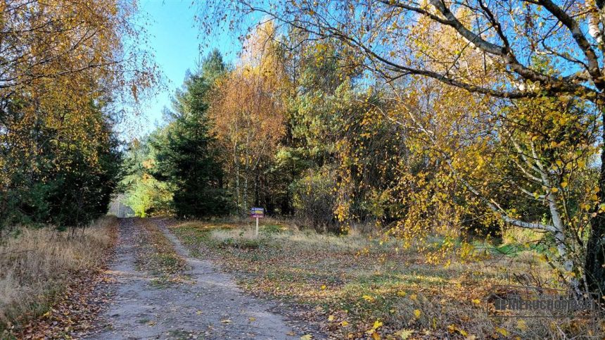 Działki na skraju wsi. Radomyśl ok. 10km od Sz-nka miniaturka 14