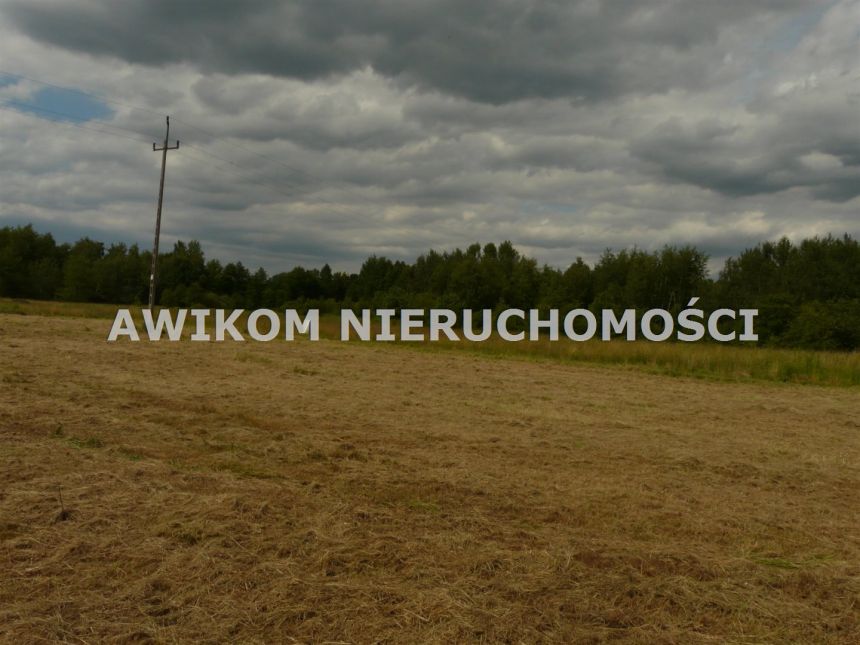 Grabina Radziwiłłowska, 110 000 zł, 10 ar, woda w drodze miniaturka 14