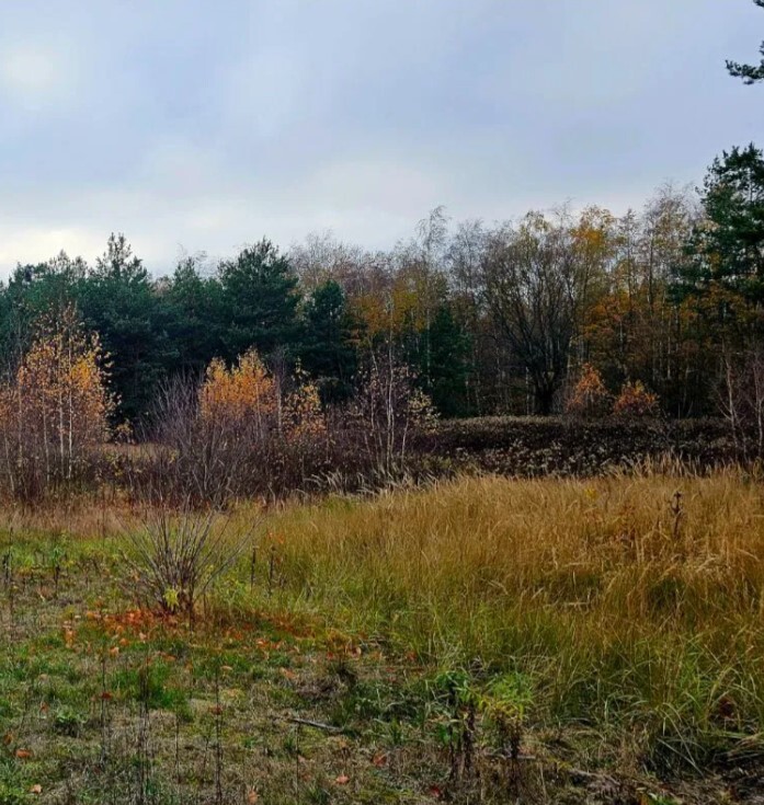 Działka budowlana o pow. 1084 m2 na skraju lasu. - zdjęcie 1