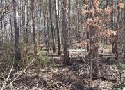 działka na sprzedaż w Białej, gmina Wieleń miniaturka 16
