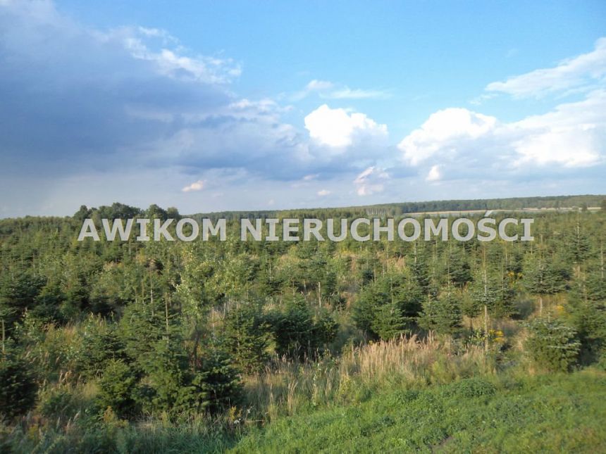 Grzegorzewice 13 900 000 zł 2463220 m2 miniaturka 8