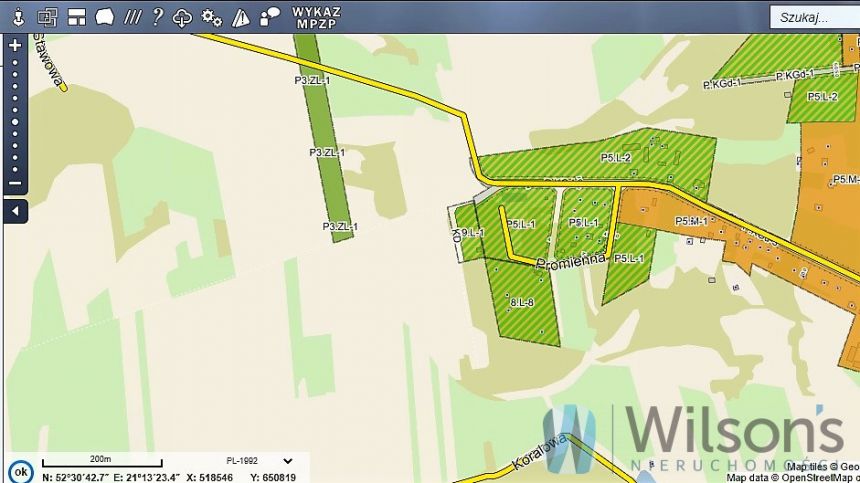 Ludwinów, 93 900 zł, 12.52 ar, rekreacyjna miniaturka 10