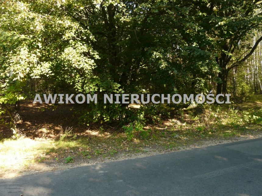 Przewodowice, 145 098 zł, 80.61 ar, rolna miniaturka 9