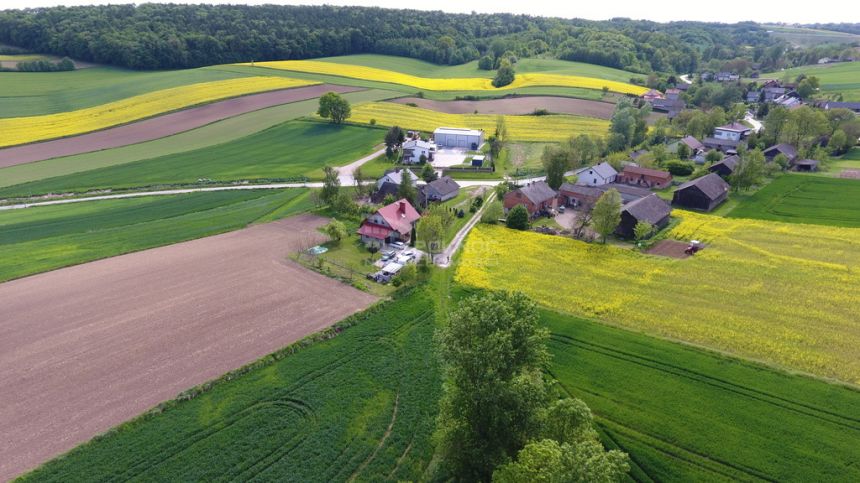 Urokliwy dom wolnostojący w Januszowicach miniaturka 4