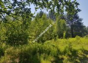 Czarny Las 1825m2 z Planem Zagospodarowania Media! miniaturka 1
