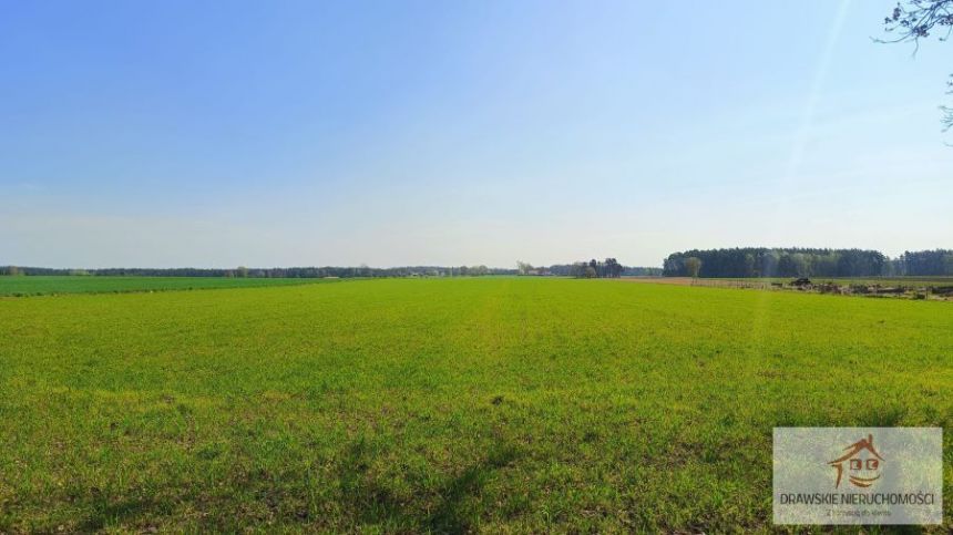 Łosośnica, 310 000 zł, 7.72 ha, rolna miniaturka 6