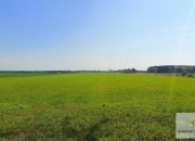 Łosośnica, 310 000 zł, 7.72 ha, rolna miniaturka 6