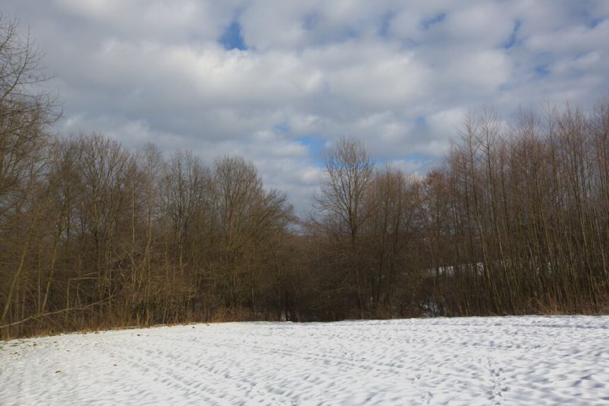 Działka rolno - budowlana (1,61ha) w Ołpinach! miniaturka 9