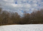 Działka rolno - budowlana (1,61ha) w Ołpinach! miniaturka 9